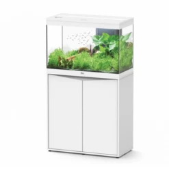 Aquatlantis Splendid 80 White With Cabinet