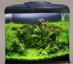 Aqua One AquaVue 580 Aquarium