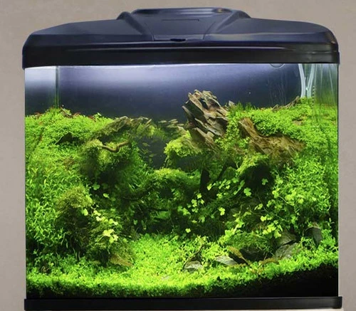 Aqua One AquaVue 580 Aquarium