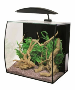 Aqua One Arc 46 Aquarium