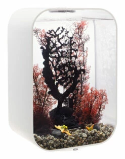 BiOrb LIFE 45 White - MCR LED