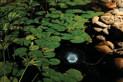 Pontec Oase Pondtec PondoAir Set 1200 Air Pump & Light - Image 5