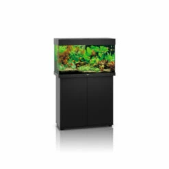 Juwel Rio 125 LED Aquarium And Cabinet Black